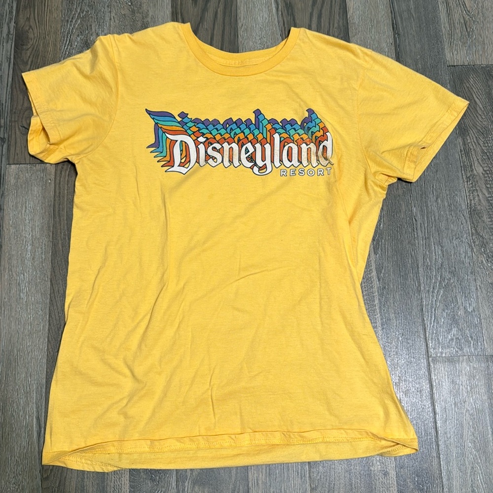 Disneyland resort crewneck